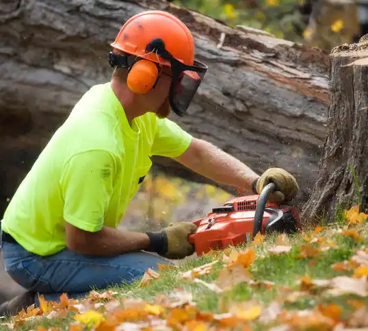 tree services Chappell